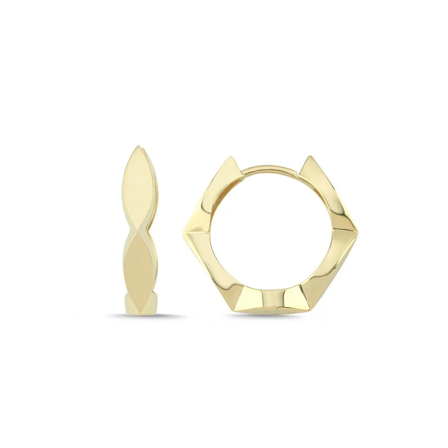 14 Ayar Altın Viyana Halka Küpe - 1