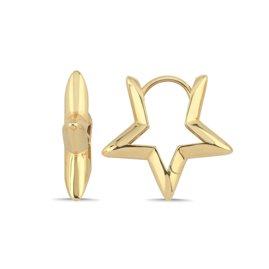 14 Ayar Altın Yıldız Küpe - 1