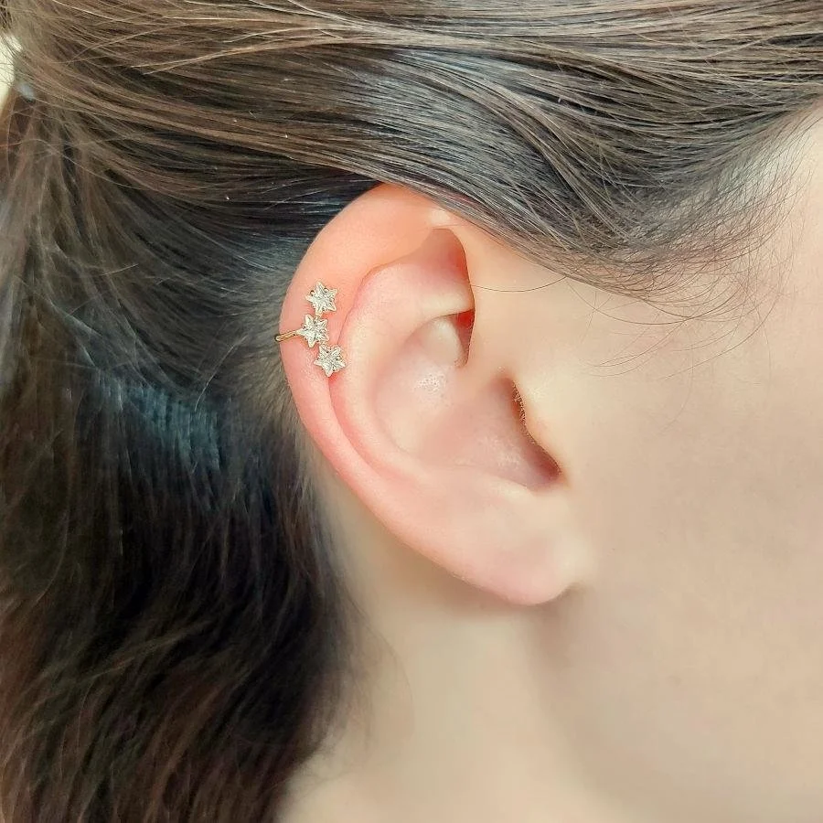 Estralla Taşlı Rose Kıkırdak Gümüş Kadın Küpe - 2